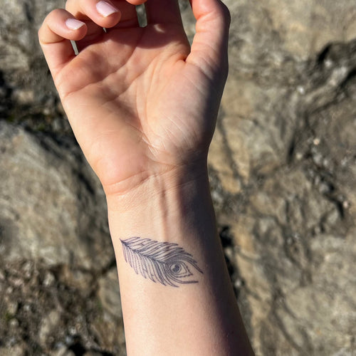 Pluma de pavo real