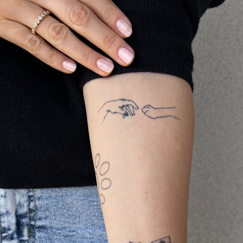 Pata y mano de perro