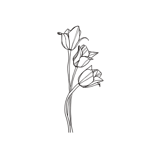 Tatuaje de un tulipán
