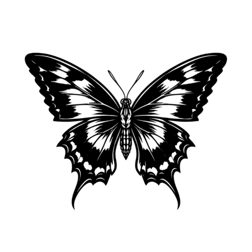 Mariposa negra
