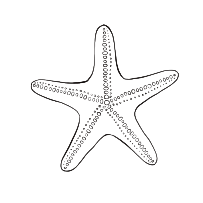 Estrella de mar