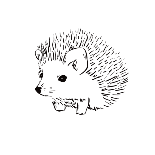 Tatuaje de erizo