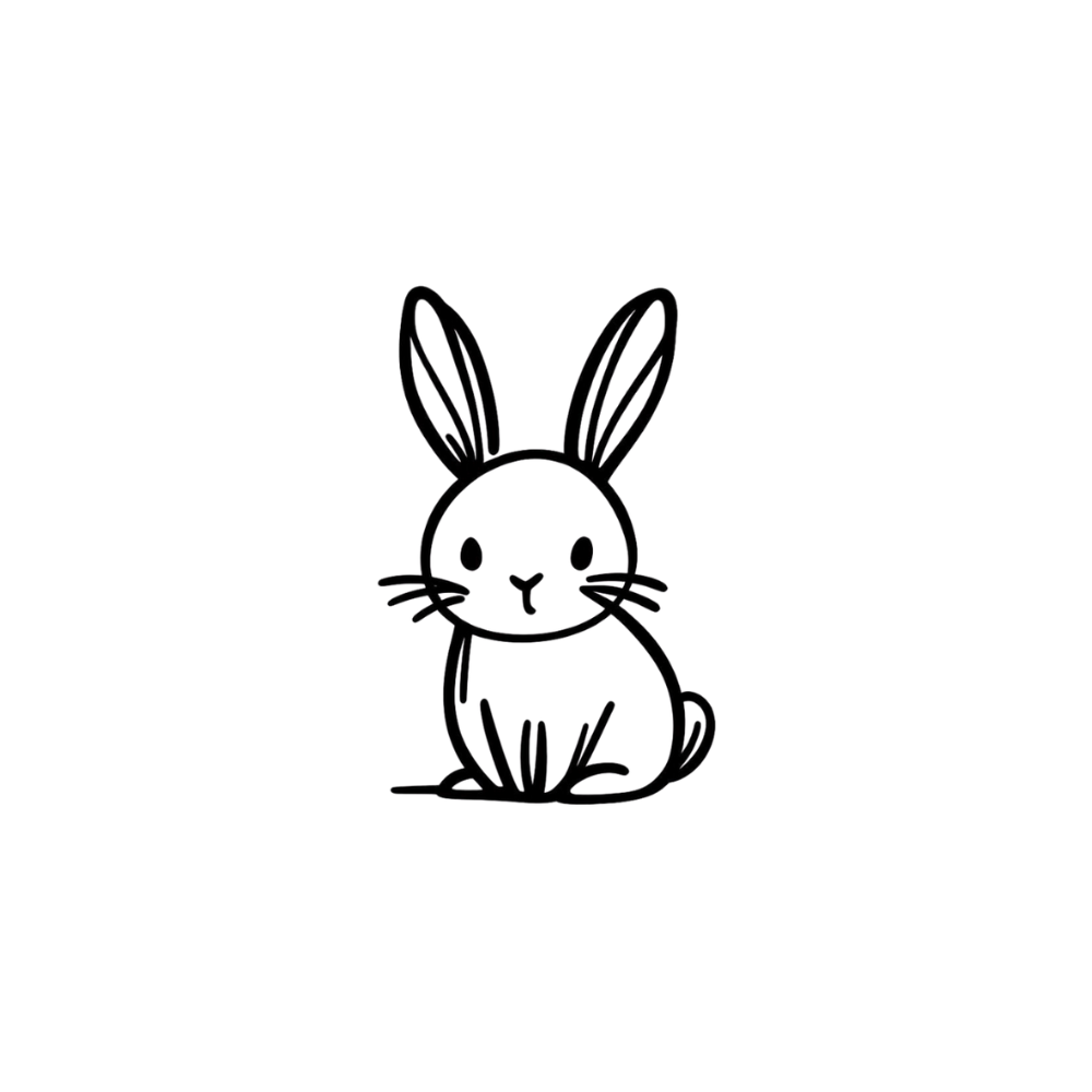 Conejo minimalista